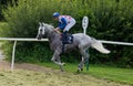 Horse racing jockey Hector Crouch