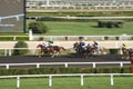 Abstract Motion Blur Horse Race