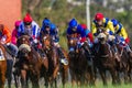 Horse Racing Jockeys Close-Up Action