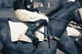 Horse racing jockeys riding horses preparing for the start of a race. Royalty Free Stock Photo