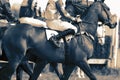 Horse racing jockeys riding horses preparing for the start of a race. Royalty Free Stock Photo