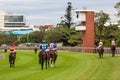 Horse Racing Jockeys Start Gates