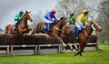Horse Racing Jumping Fence - Peper Harow