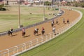 Horse Racing Landscape