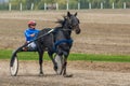 Horse racing Memorial Bata General