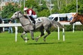 Horse racing in Milan, Italy