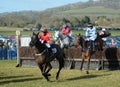 UK Horse Racing. Over the fences