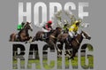 Horse Racing - Photo shot of horses jumping a fence Royalty Free Stock Photo