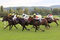 Horse racing in Prague Royalty Free Stock Photo