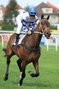 Horse racing in Prague - Rendez vous