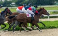 Horse racing for the prize of Aeolian Harp in Pyatigorsk.