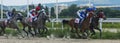 Horse racing for the prize of the Bolshoi Letni in Pyatigorsk. Royalty Free Stock Photo