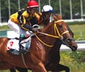 Horse racing for the prize of the Bolshoi Letni. Royalty Free Stock Photo