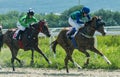 Horse racing for the prize in honor of the mare Big Tric Royalty Free Stock Photo