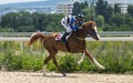 Horse racing for the prize of the Letni in Pyatigorsk. Royalty Free Stock Photo