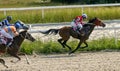 Horse racing for the prize of the Letni in Pyatigorsk Royalty Free Stock Photo