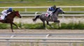 Horse racing for the prize of the Letni in Pyatigorsk. Royalty Free Stock Photo