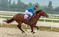 Horse racing for the prize of the Ogranichitelni in Pyatigorsk.