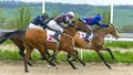 Horse racing in Pyatigorsk Royalty Free Stock Photo