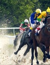 Horse racing in Pyatigorsk Royalty Free Stock Photo