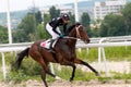 Horse racing in Pyatigorsk.