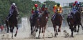 Horse racing in Pyatigorsk Royalty Free Stock Photo