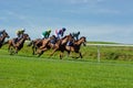 Horse Racing in the UK Royalty Free Stock Photo