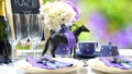 Horse racing Racing Day Luncheon table setting Royalty Free Stock Photo