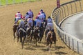 Horse Racing Rear Action