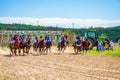 Horse racing start horses out of starting gates Bulgaria Royalty Free Stock Photo