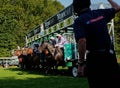 UK Horse racing. Flying out of the starting stalls Royalty Free Stock Photo