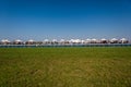 Horse Racing Track Umbrellas People