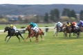 Horse racing - Velka Chuchle prix 2013 Royalty Free Stock Photo