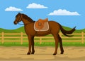 Horse ranch cartoon vector