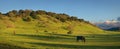 Horse ranch near Stanford University