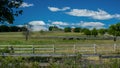 Horse ranch, rural minnesota