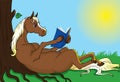 Horse reading book Royalty Free Stock Photo