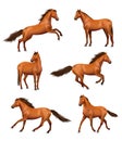 Horse realistic. Wild galloping horses fast running different action poses decent vector illustrations set