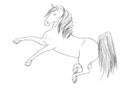 Horse Rear Line Art Equine Horses Stallion Black White Drawing