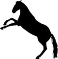 Horse rear vector