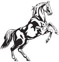 Horse Reared vector drawing Royalty Free Stock Photo