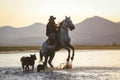 Horse Rearing in Water, Kayseri, Turkey Royalty Free Stock Photo