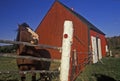 Horse and red barn, Cape Breton, Nova Scotia Royalty Free Stock Photo