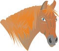 Horse Redhead