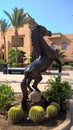 Horse at rehana royal resort sharm el sheikh