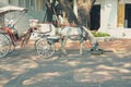 Horse rickshaw serving tourist. old vintage asian tricycle