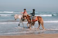 Horse Ride in front of the Sea in full Sunset, Moroccan coast, Casablanca, Morocco Royalty Free Stock Photo