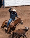 Horse and ride with perfect teamwork.