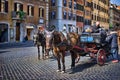 Horse ride at Spanish steps, Rome