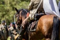 Horse and rider during an American Civil War Reenactment Royalty Free Stock Photo